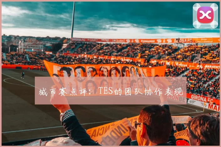 城市赛点评：TES的团队协作表现