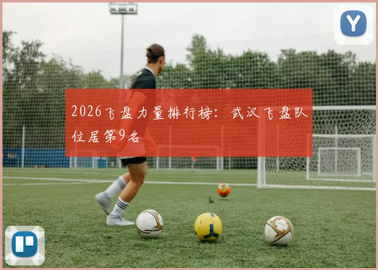 2026飞盘力量排行榜：武汉飞盘队位居第9名